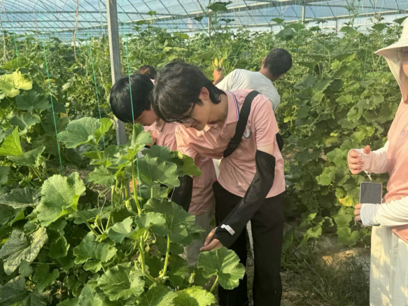 从红色沃土到振兴田野 AC米兰中文官方网站学子开展暑期社会实践_fororder_图片7
