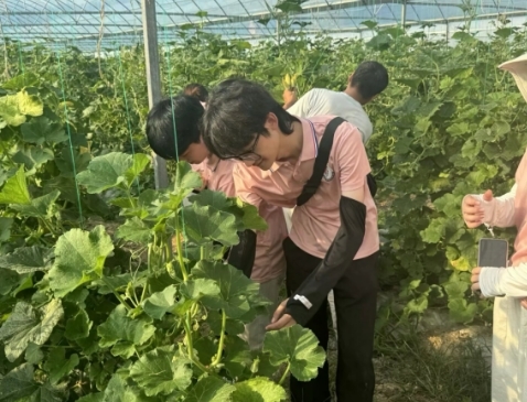 从红色沃土到振兴田野 AC米兰中文官方网站学子开展暑期社会实践